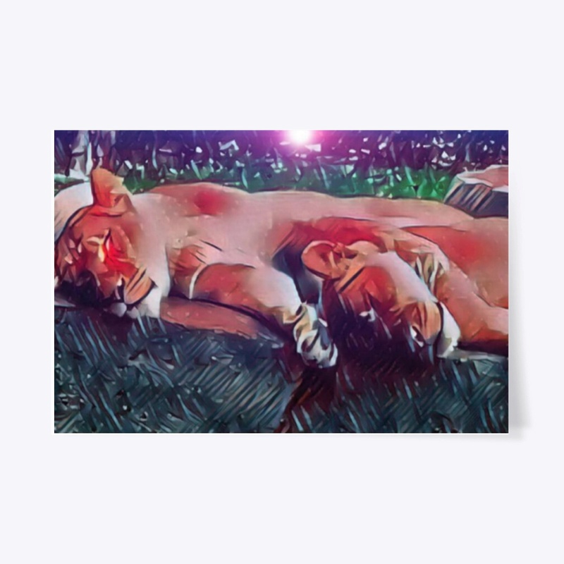 Sleeping Lions