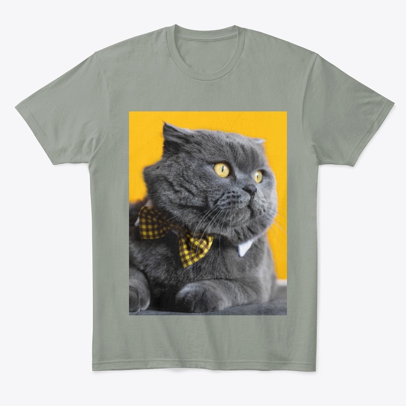 I love my cat