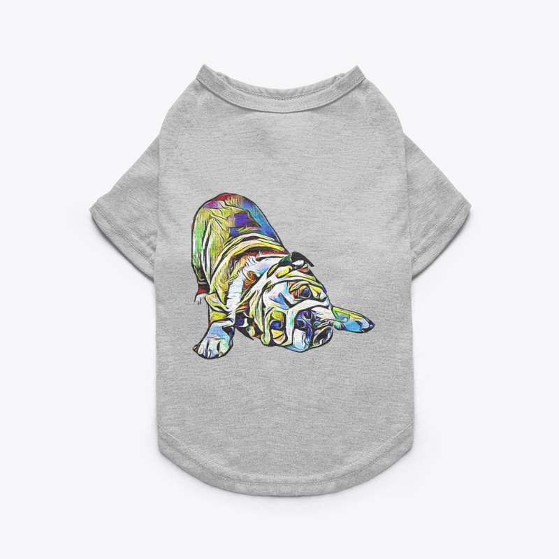 Colorful Pet T-Shirt