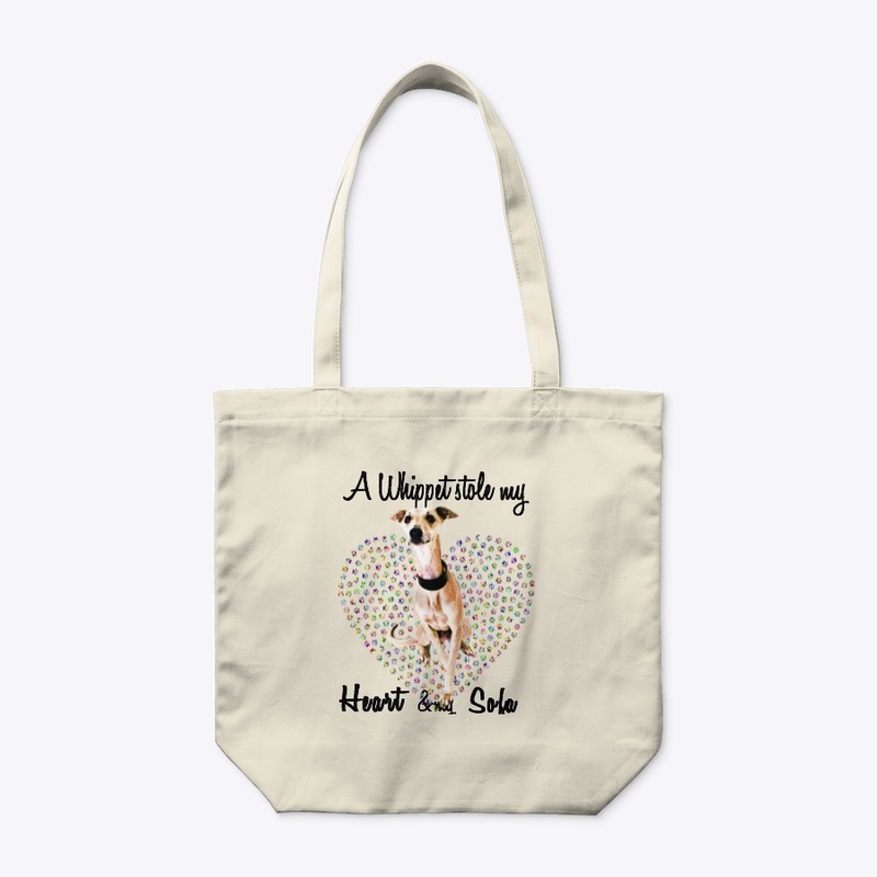 a whippet dog stole my heart