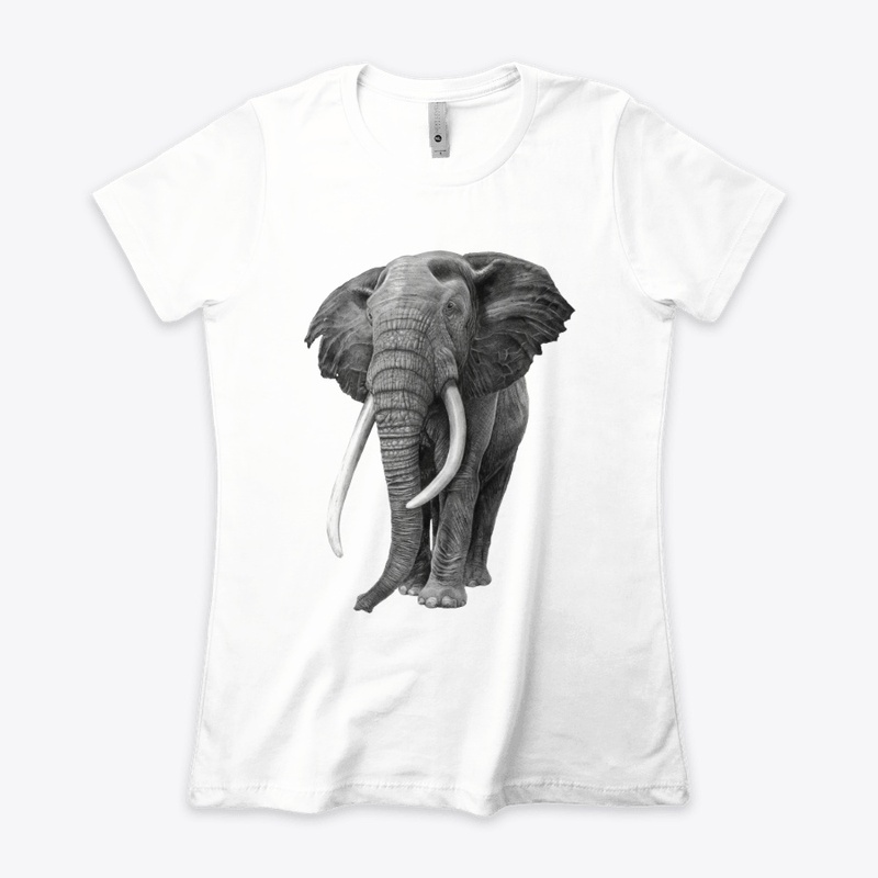 Bull elephant - Drawing In Pencil