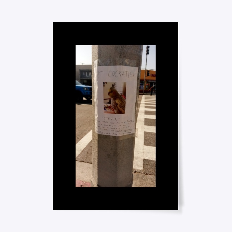 Lost Parrots, I lost my parents
