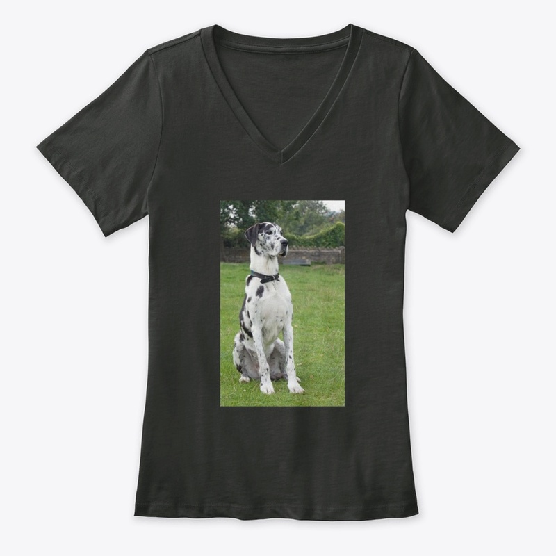 Great Dane T Shirt