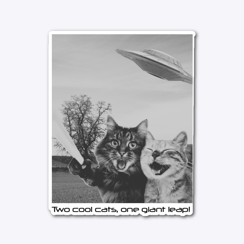 Intergalactic Cat Selfie