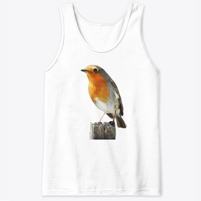 Cute Robin