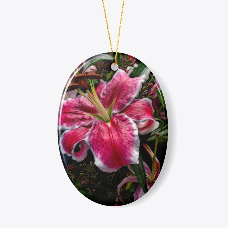 Big Petaled Pink and White Lily