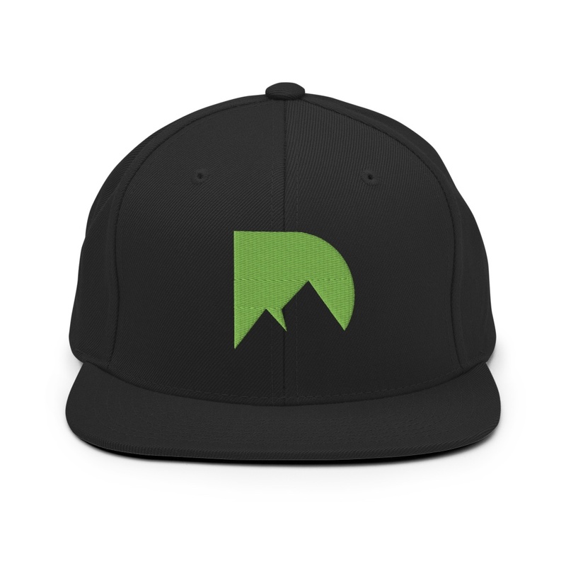 Logo Snapback