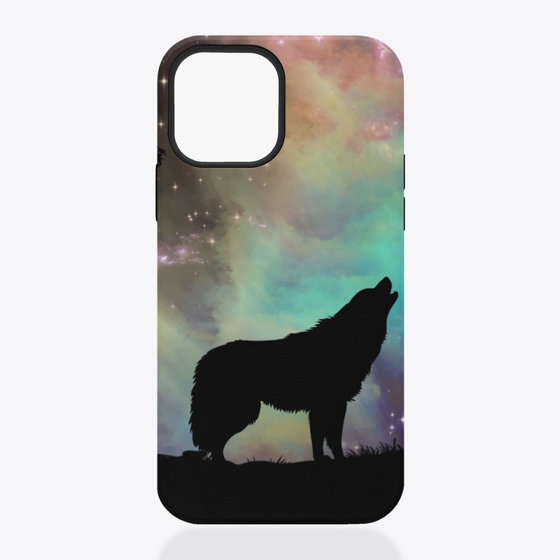 Galaxy Magcase 14