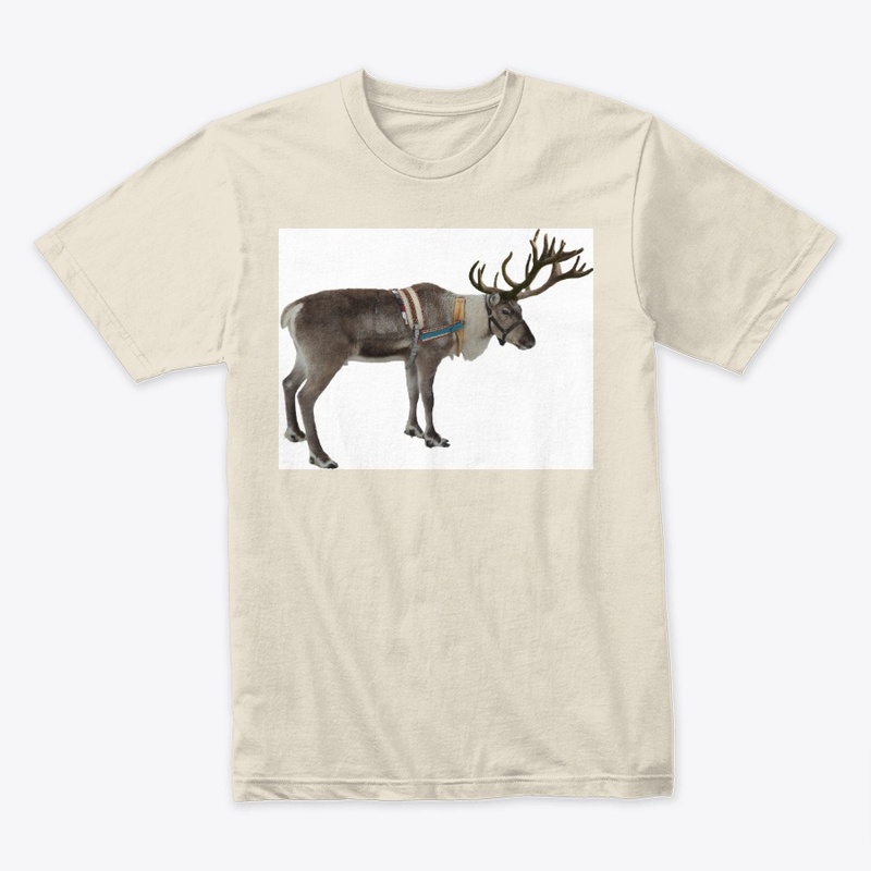 Deer 1