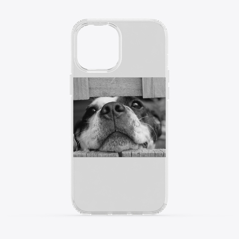 Lovely dog
