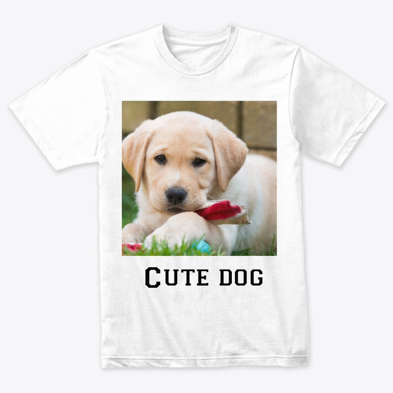 Cute dog
