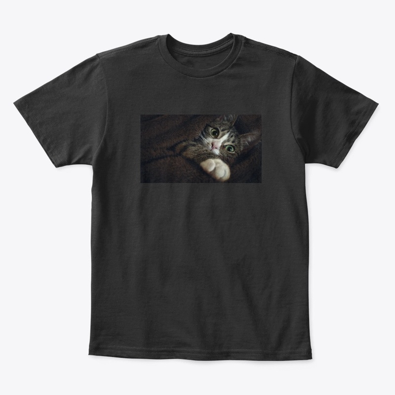 cat lover