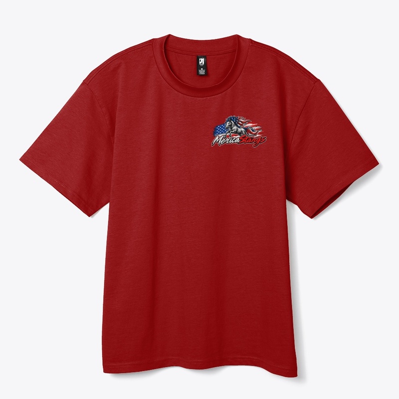 🇺🇸 MericaStangs - American Horsepower