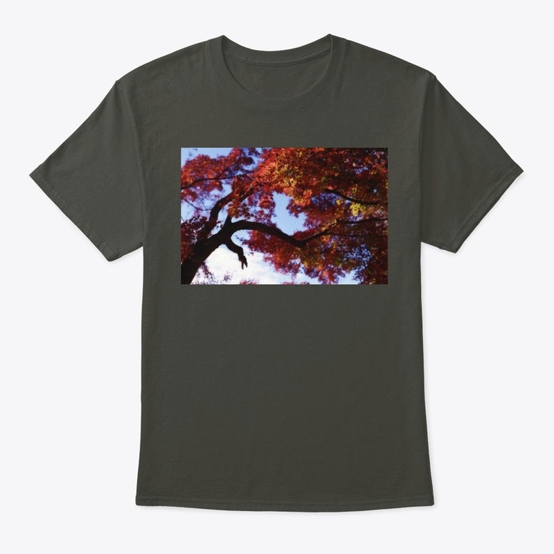 Japanese Maple at Autumn