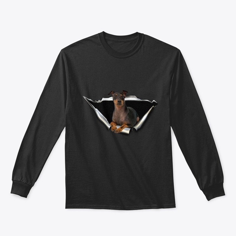 English Toy Terrier