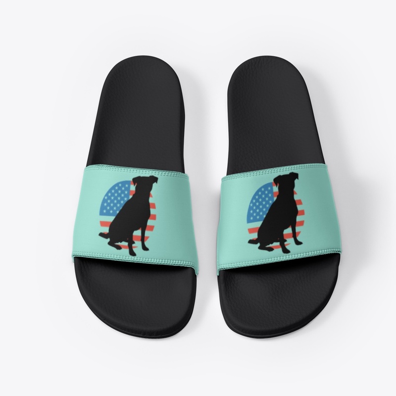 Retriever w/American Flag background