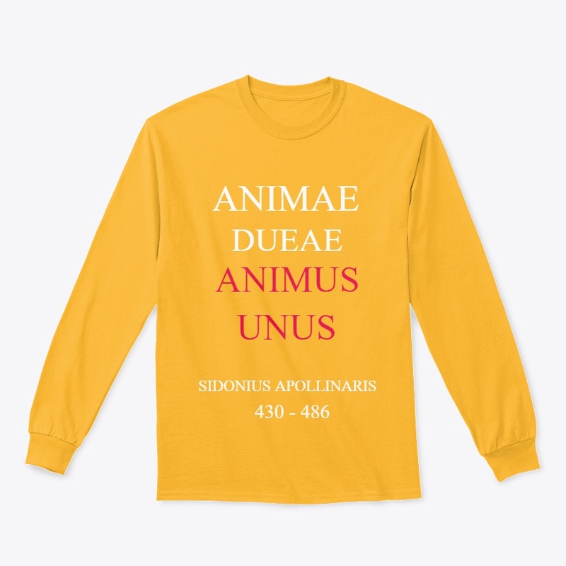 Animae Dueae Animus Unus latin quote