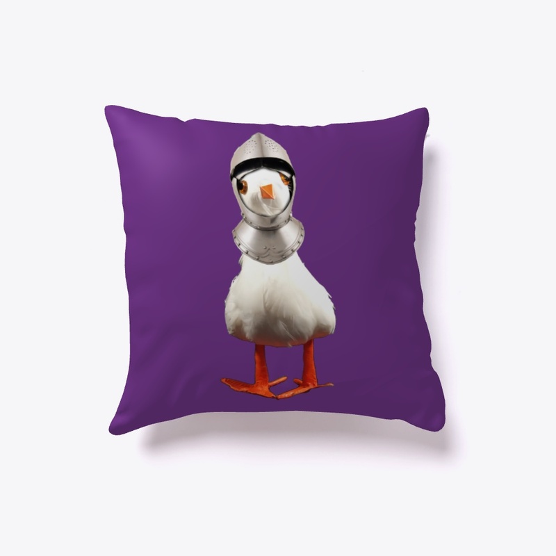 Sir Steven Seagull