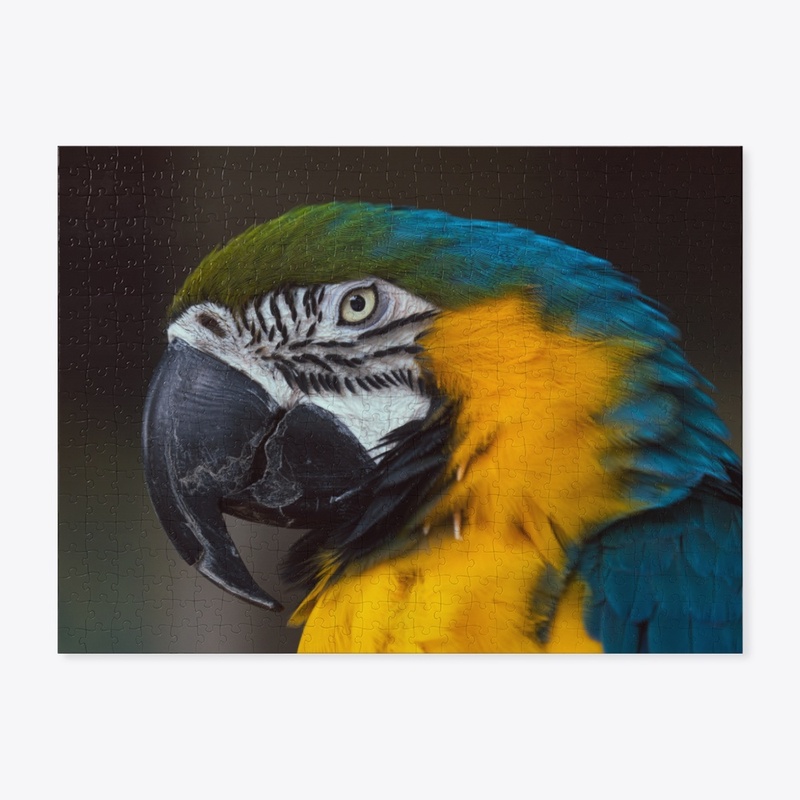 Birds of a feather 3