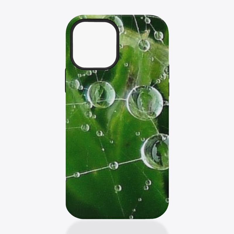 Rain Water Drops Ideas |  Spider Web