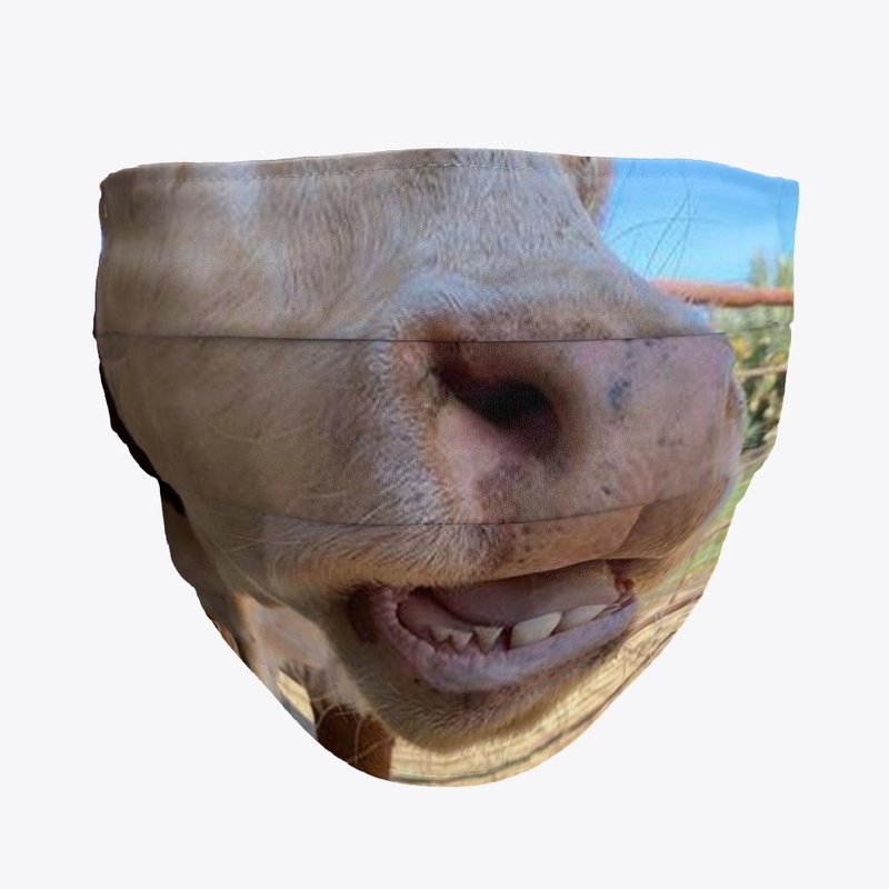 Moothias Teefs Mask