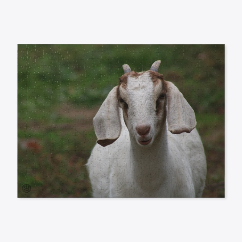 Goat 1