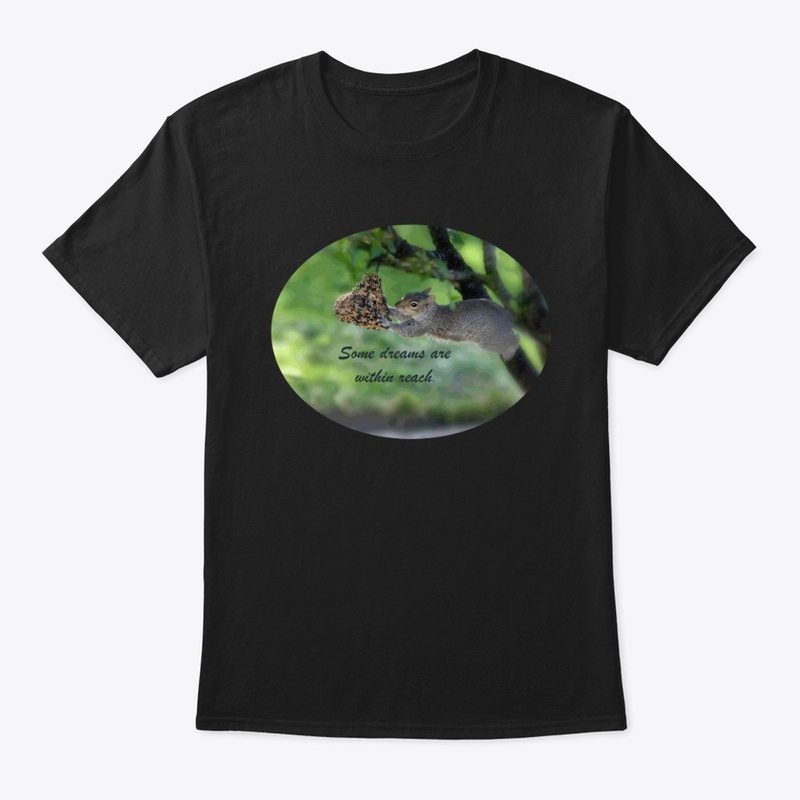 Squirrel Dreams
