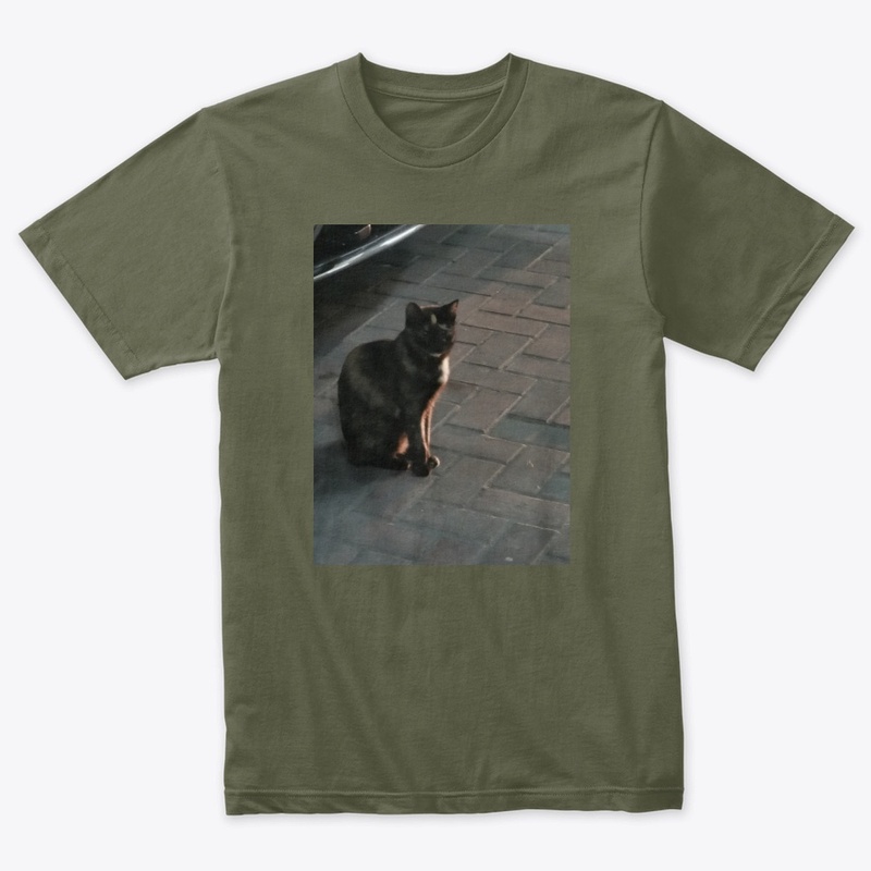 Cats lovers 2020