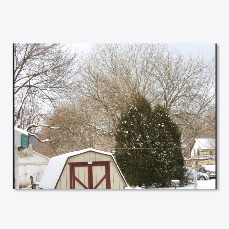 Snowy Farm