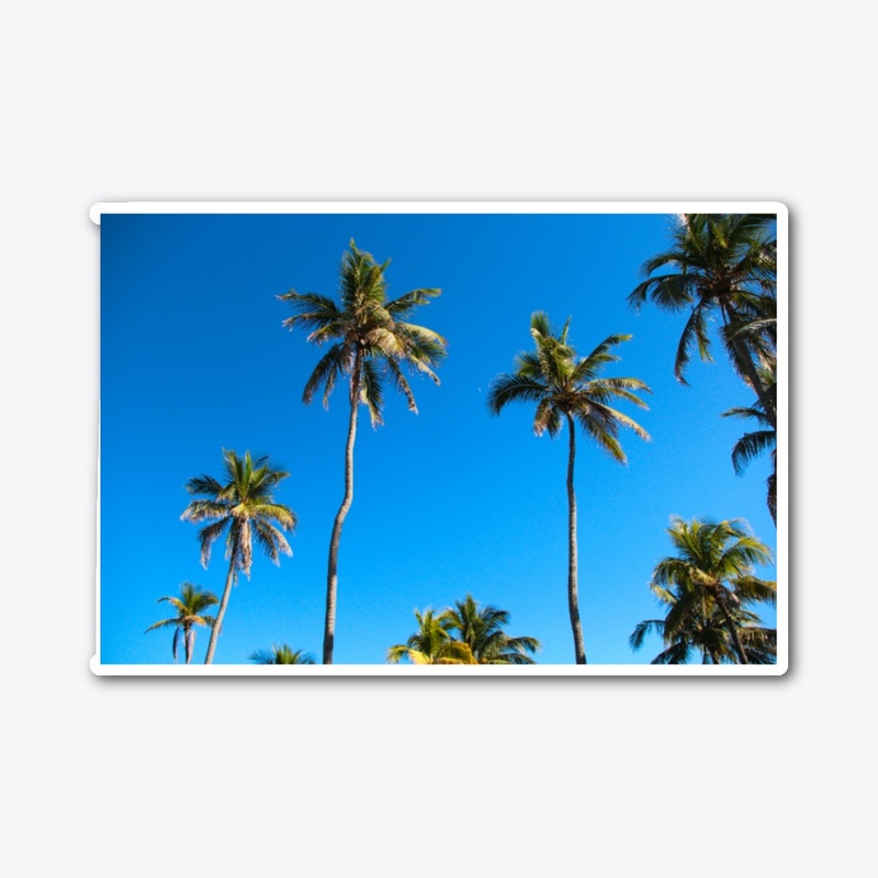 South Beach