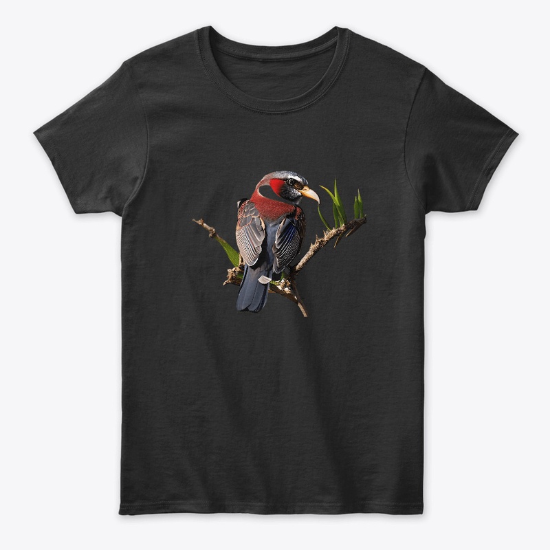 Rainbow Songbird Tee T-shirt