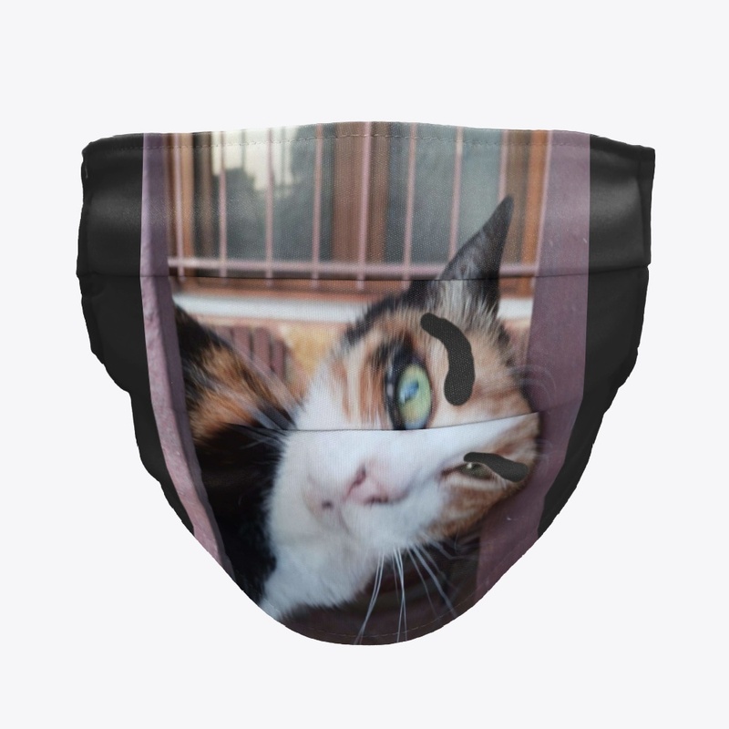 Flipzo's Cat