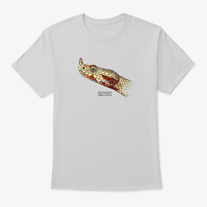 Vipera ammodytes color