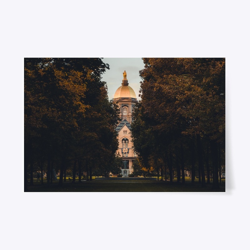 ND Autumn 1