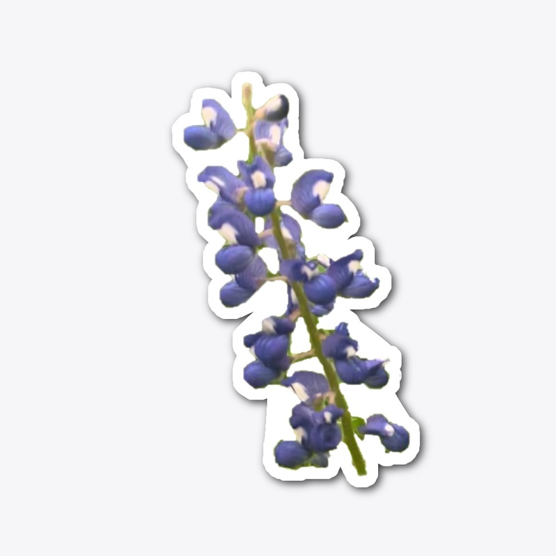 Simply Bluebonnet 2