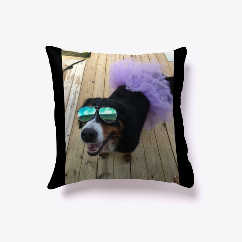 Bernese Mountain Dog 