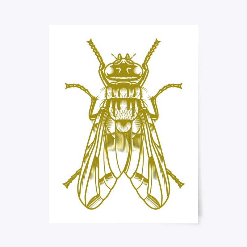 Design on a fly