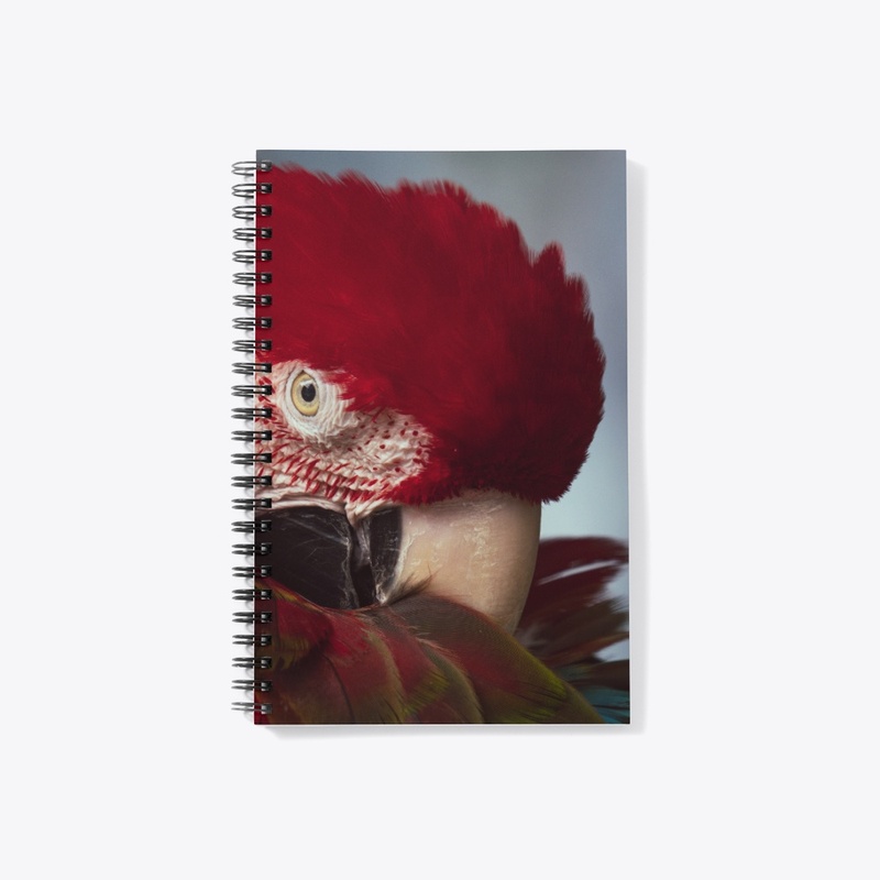 Birds of a feather 2