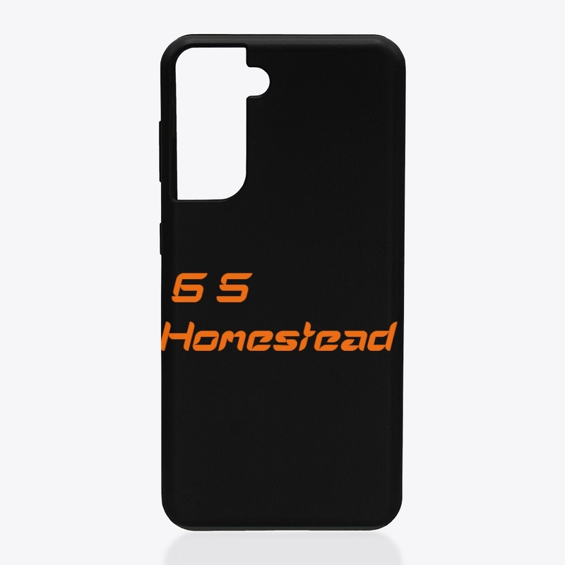 6S