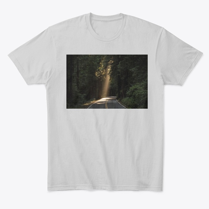 Apperals - Road in Forest Party Wear