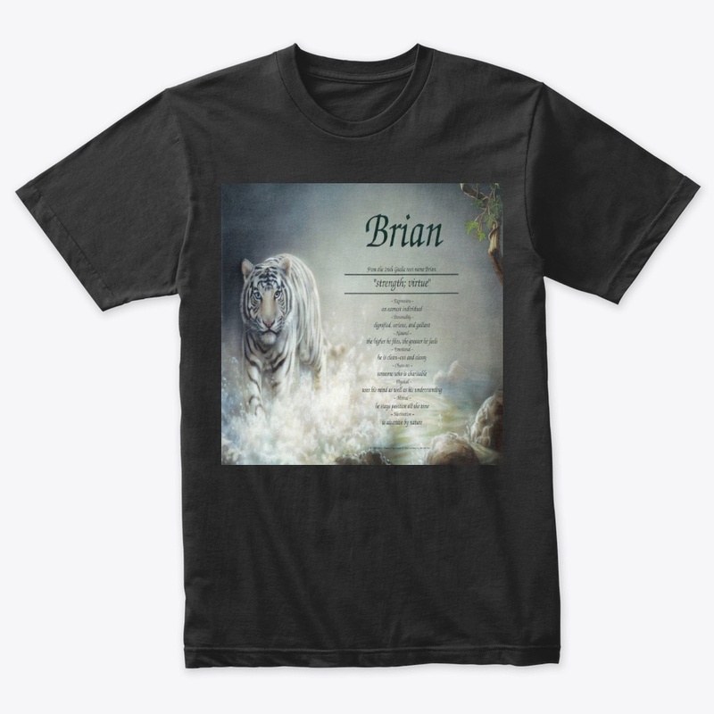 Name Meaning For Brian