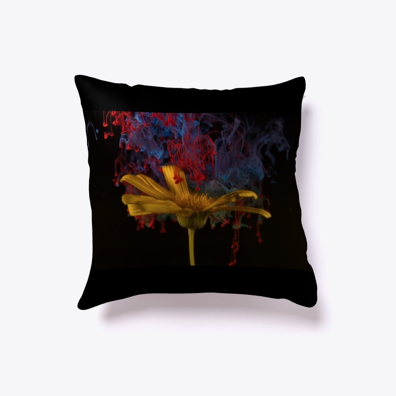 indoor pillow
