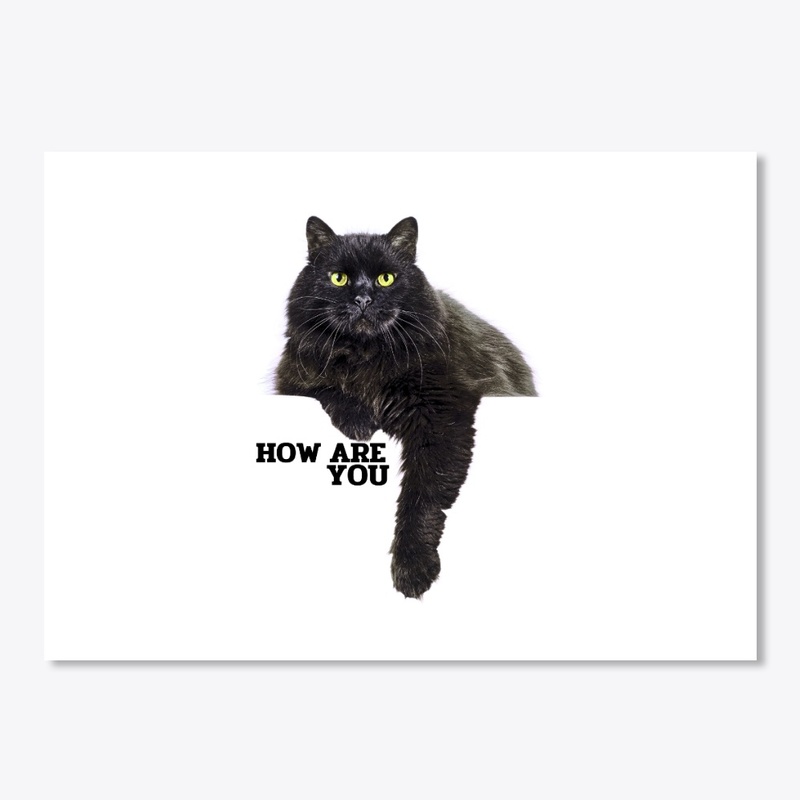 Cat Lover (By Happiness Quotes)