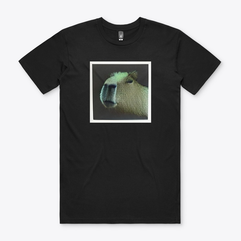 Capybara #33