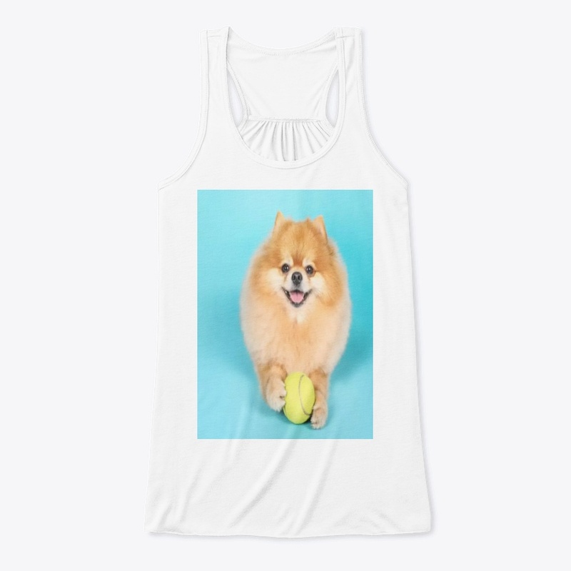 cute dog