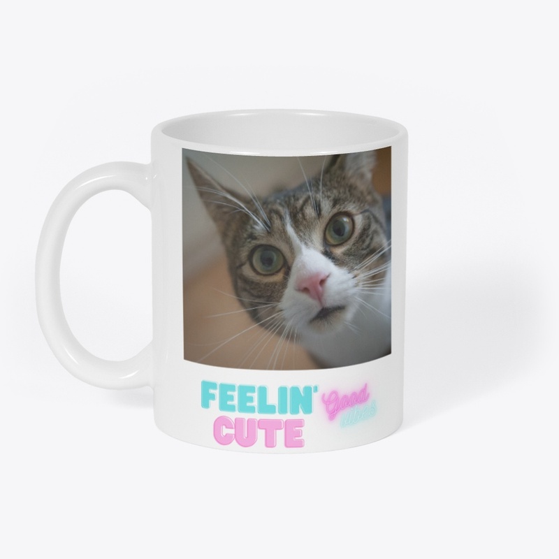 Sweet cat