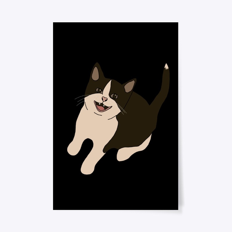 Spooky The Cat Home I