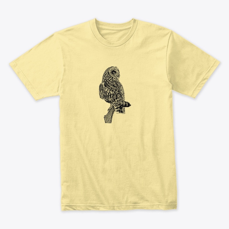 Short-eared Owl Birdwatching