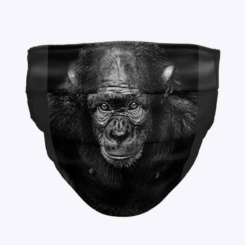 Evolution Collectibles