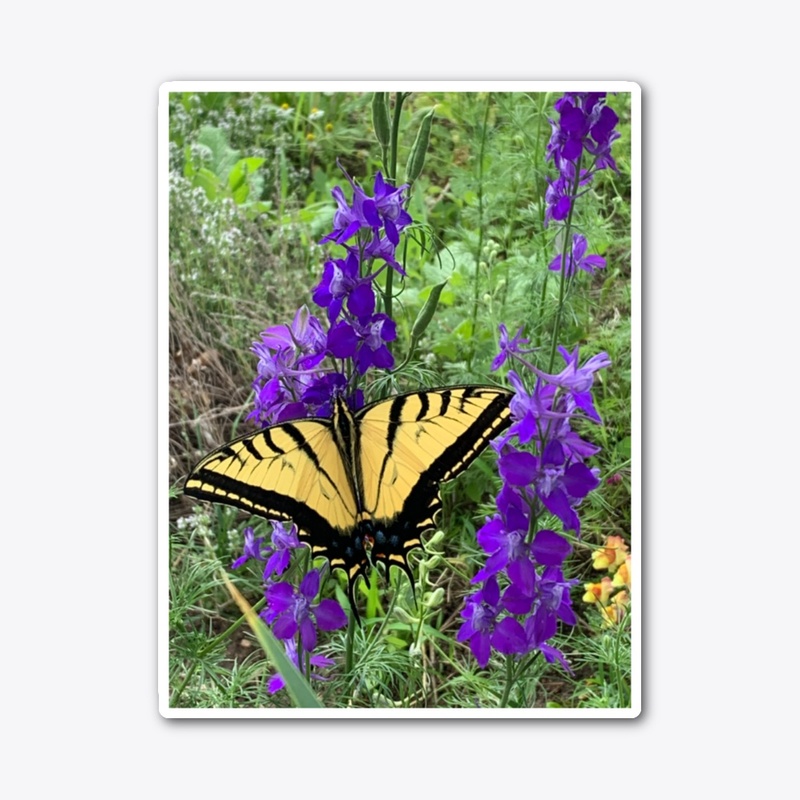 Butterfly and Smiles